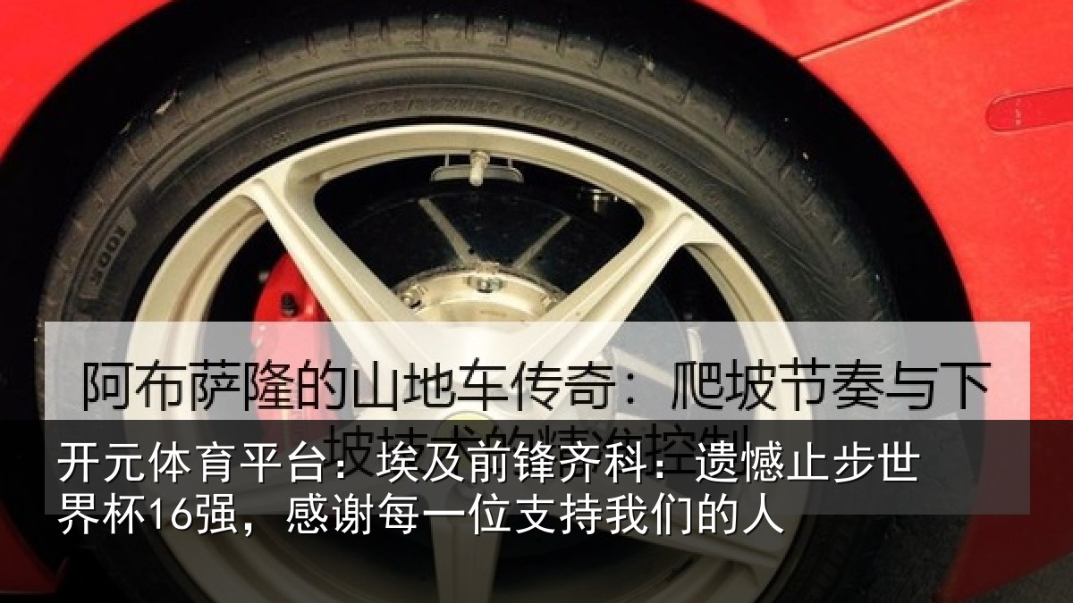 开元体育平台：埃及相关情况世界相关情况持我们的人