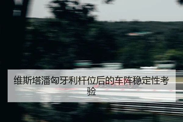 wei-si-ta-pan-xiong-ya-li-gan-wei-hou-de-che-zhen-wen-ding-xing-kao-yan-2-415.jpg