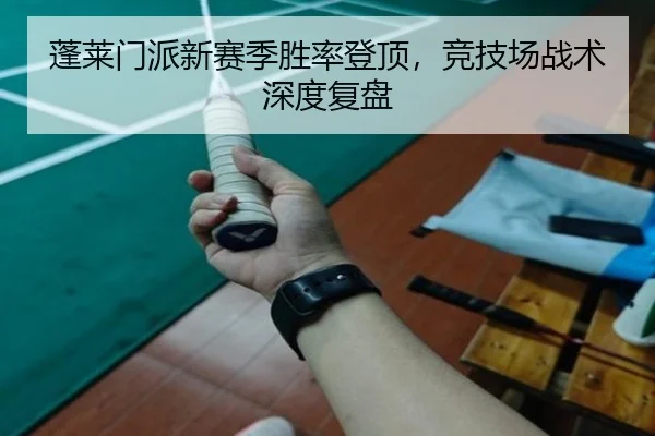 蓬莱门派新赛季胜率登顶，竞技场战术深度复盘