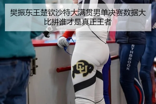 樊振东王楚钦沙特大满贯男单决赛数据大比拼谁才是真正王者