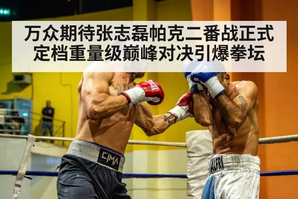 万众期待张志磊帕克二番战正式定档重量级巅峰对决引爆拳坛