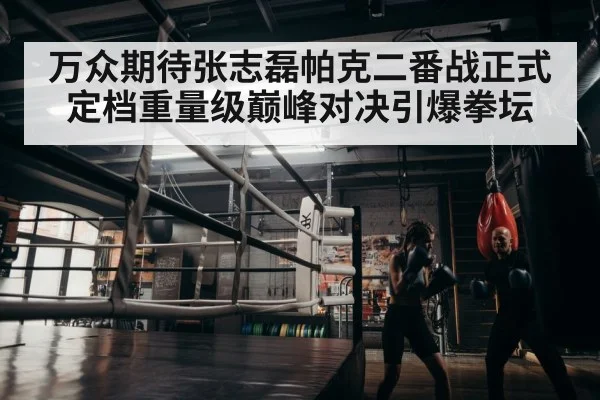 boxer training in gym